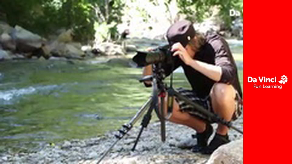 Did I Mention Invention - Balancing Rocks