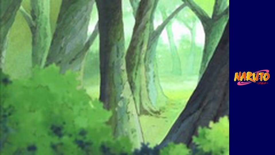 Naruto Season 1 Episode 117