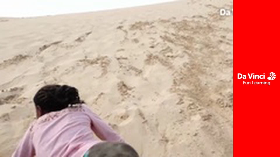 Siyaya - Sălbăticia din Cape - Robberg - Învățăm despre supraviețuire