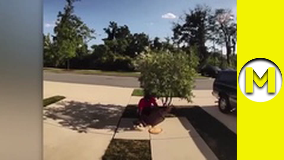 TOP (Max TV) - season 3 - episode 26