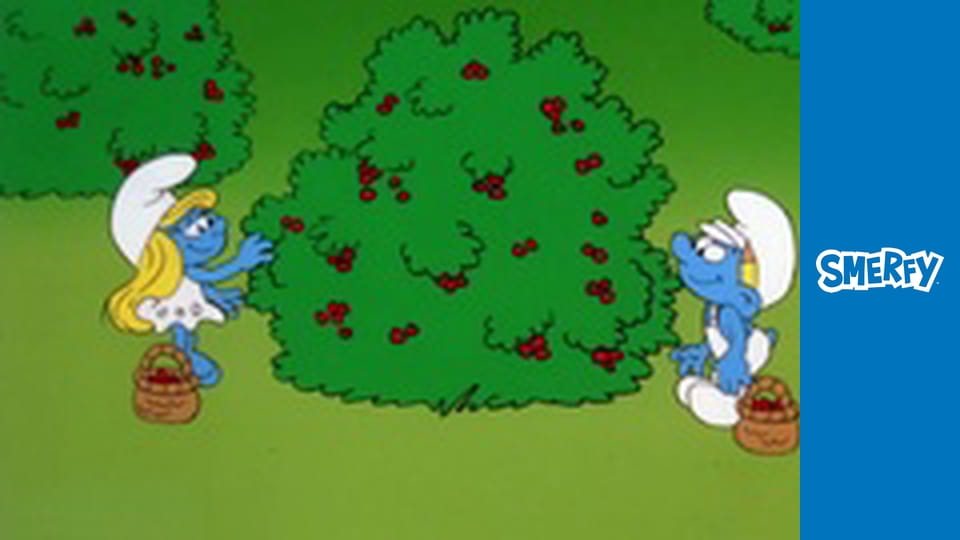 Nie wykonano nowej wersji