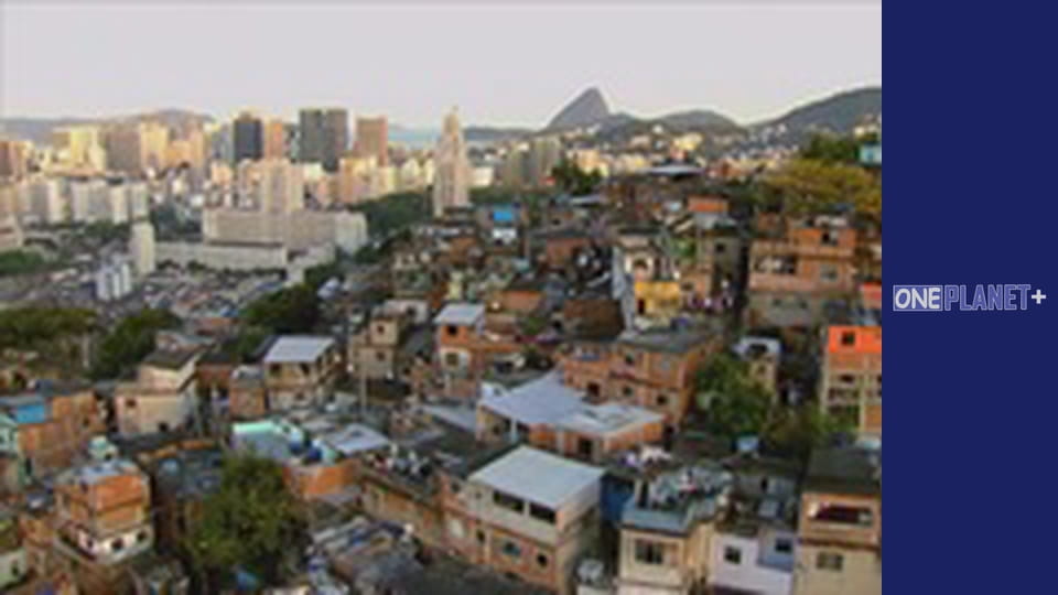 In search of knowledge. - episode 20