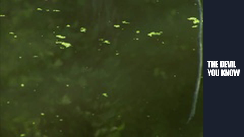 Anya tudja a legjobban S3E8