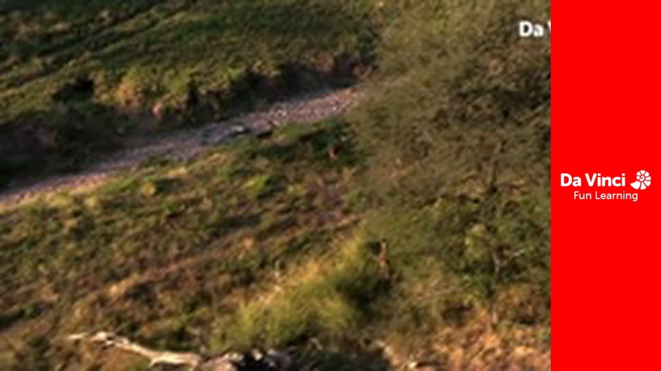 Siyaya. Droga przez Afrykę - Tshavhadzimu