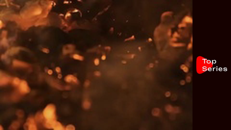 Okup - Wolny człowiek w Paryżu