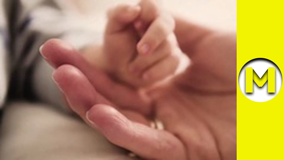 TOP (Max TV) - season 3 - episode 33