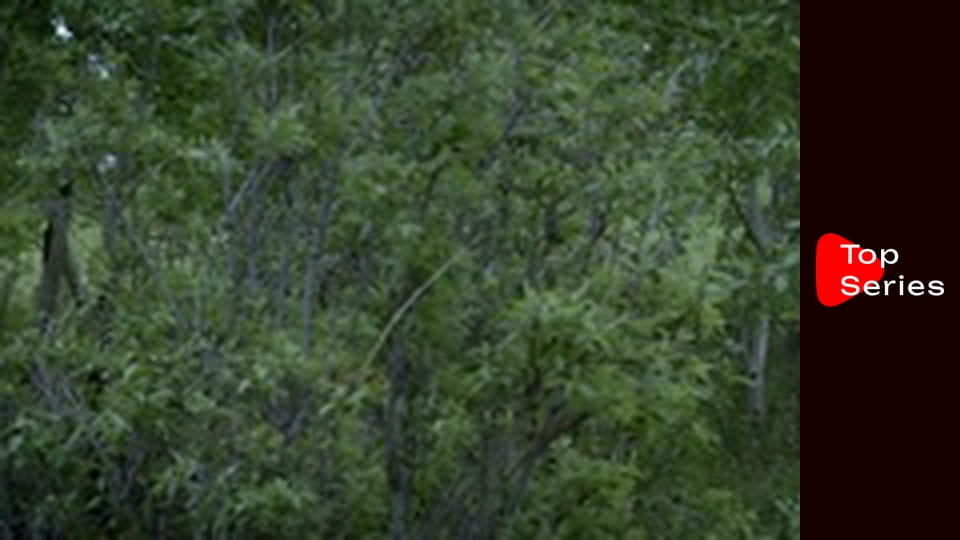 Hell on Wheels – Witaj w piekle - Nigdy cię nie zapomnę