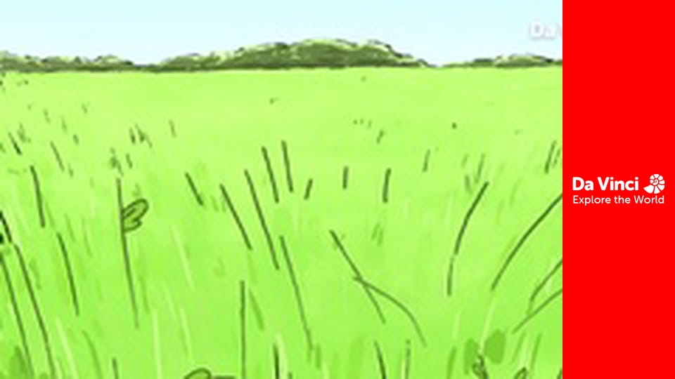 Puii de animale - Aricii