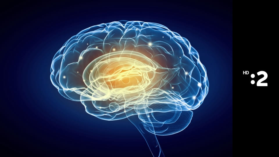 Záhady mozgu E7 - Je kriminalita riadená mozgom?