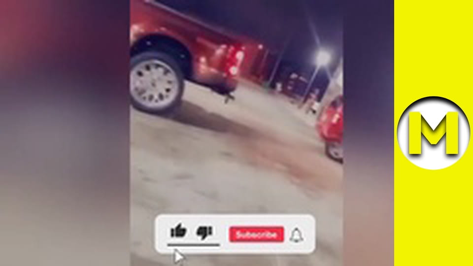 Max TV - season 1 - episode 112