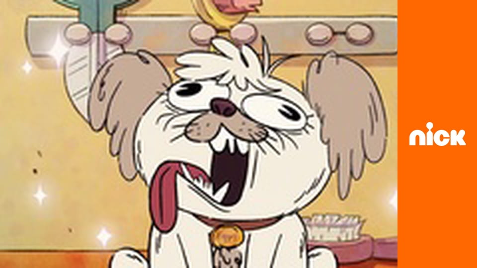 М/с "Вайлд Пак", 1 сезон, 1 с. "Найкраще літо?".