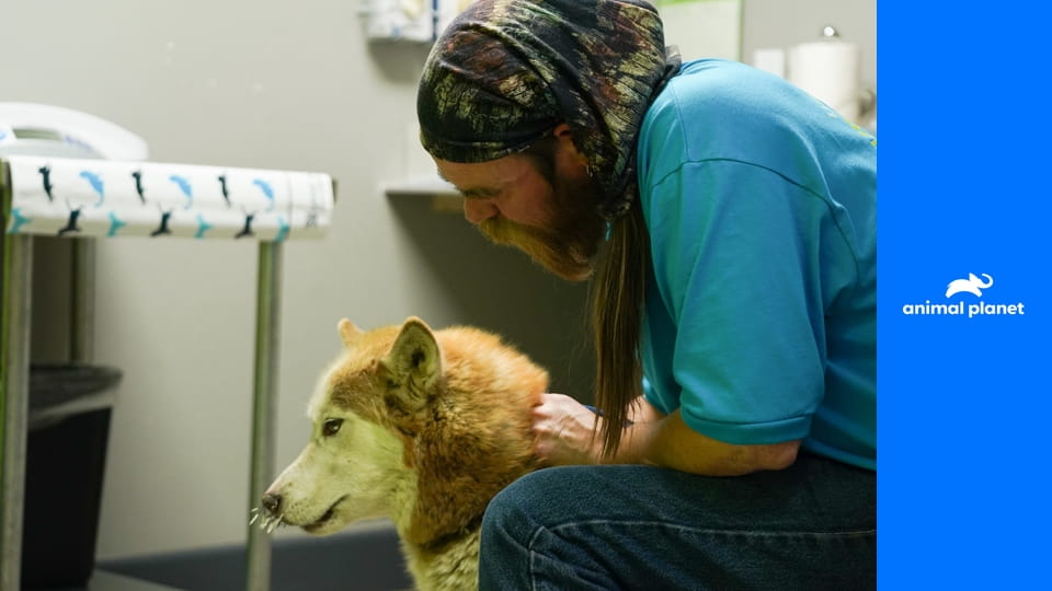 Dr. Jeff: Veterinář ze Skalnatých hor S3E2