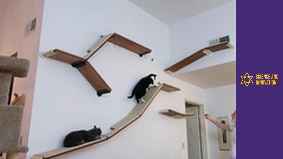 Science and Innovation Season 1 Episode 7