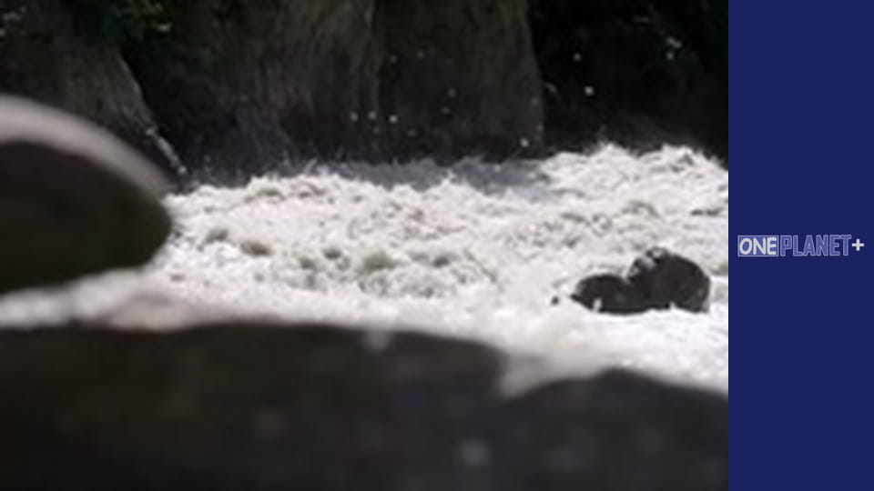 In search of knowledge. - episode 3