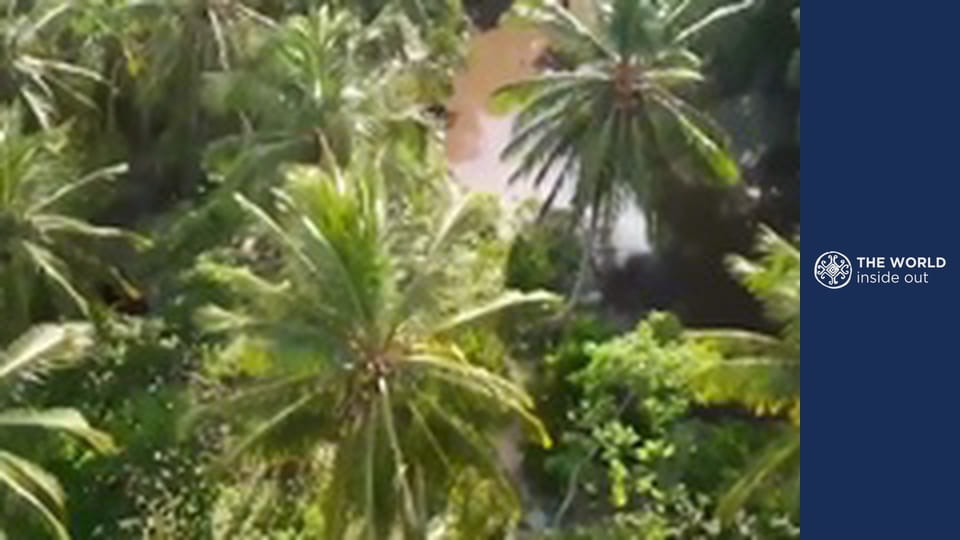 Cesta na ostrov Marajó a lov mangrovových krabů. Brazílie.