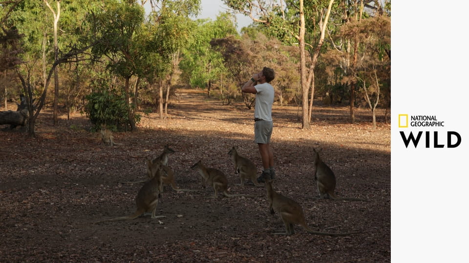 В неизвестность с Джеком Рэнделлом S1E1 - Australia's Most Dangerous