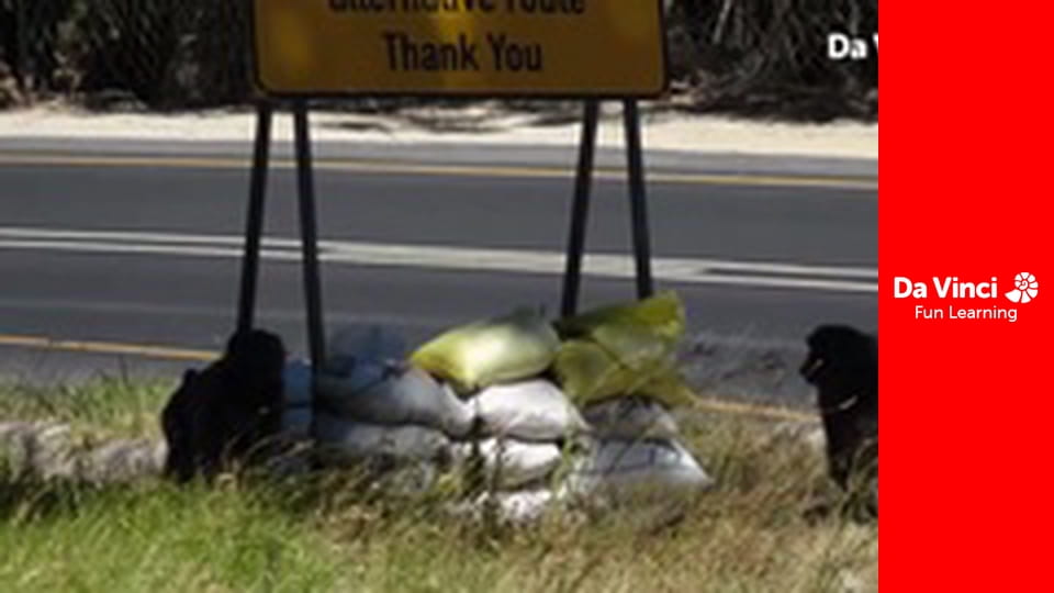 Siyaya: najdzikszy przylądek - Rezerwat w górach Hottentots-Holland: na anielskich skrzydłach