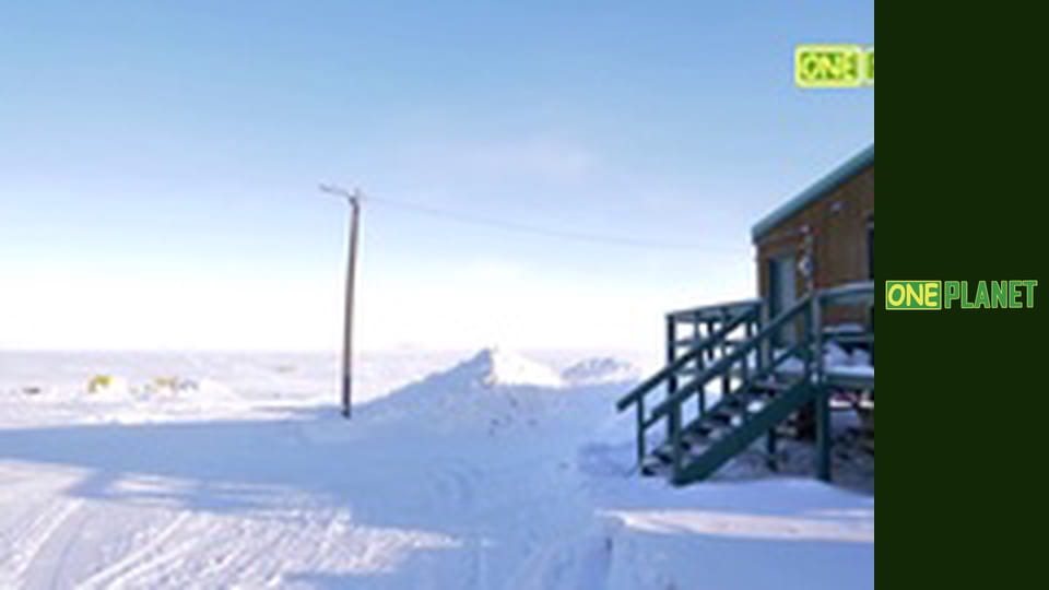 Пересечь Арктику за 62 дня.