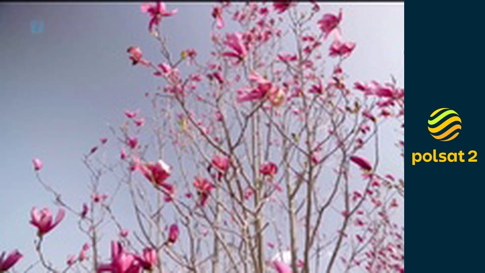 Z klimatem i z pasją S10E5