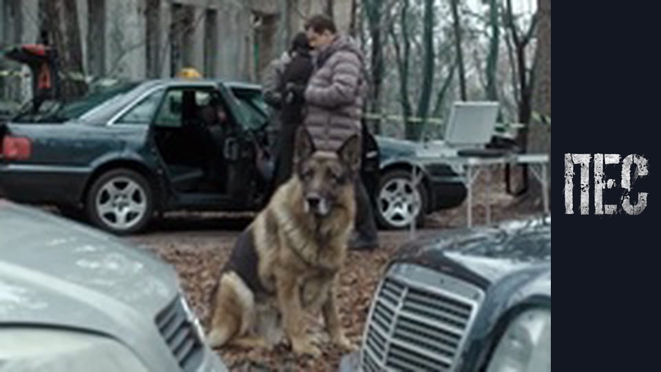 Dog, Season 6, Episode 31