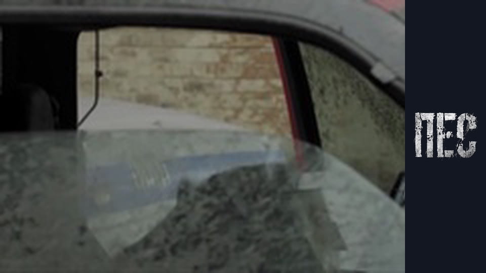 Dog, Season 1, Episode 10