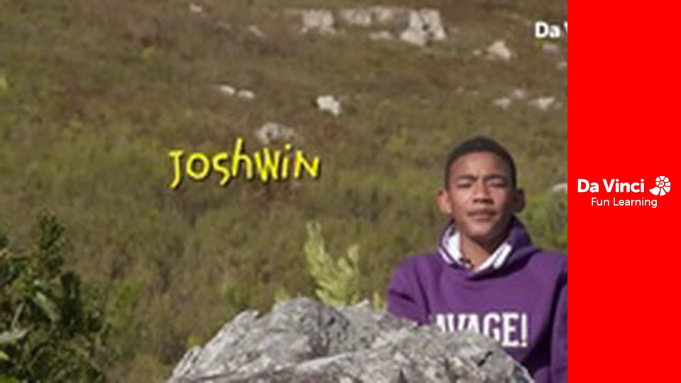 Siyaya - Wildest Cape - Kogelberg - Source To Sea