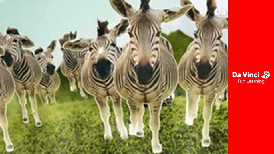 Siyaya - Sălbăticia din Cape - Anysberg - Bijuteria ascunsă din Klein Karoo