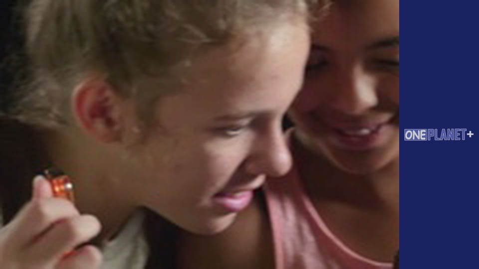 Secrets of the Brain - series 1