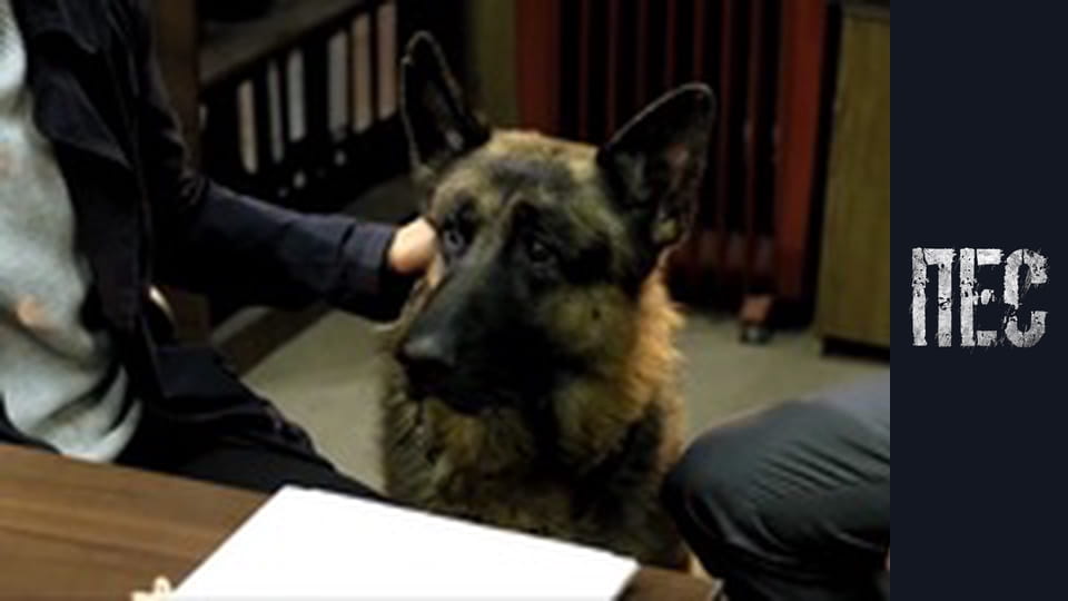 Dog, Season 3, Episode 22