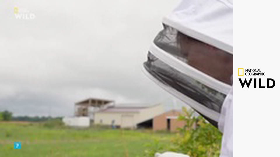 Земля пиренейской рыси S1E1 - Зима