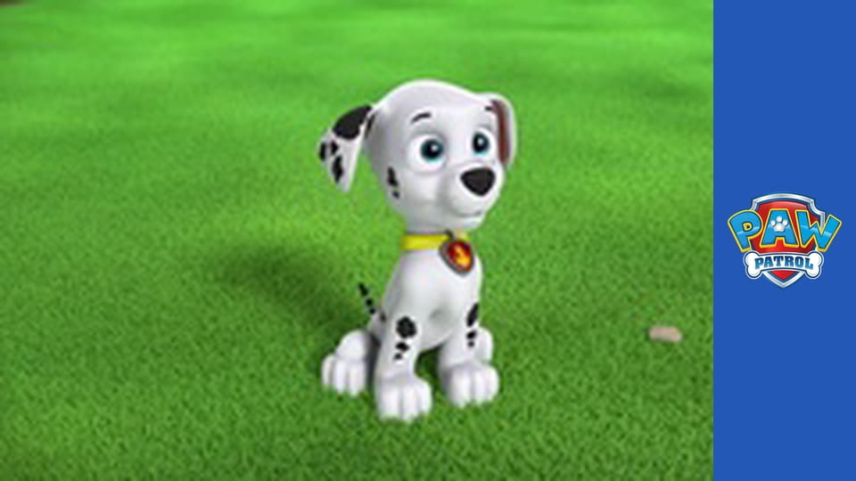Paw Patrol Season 2 Episode 11