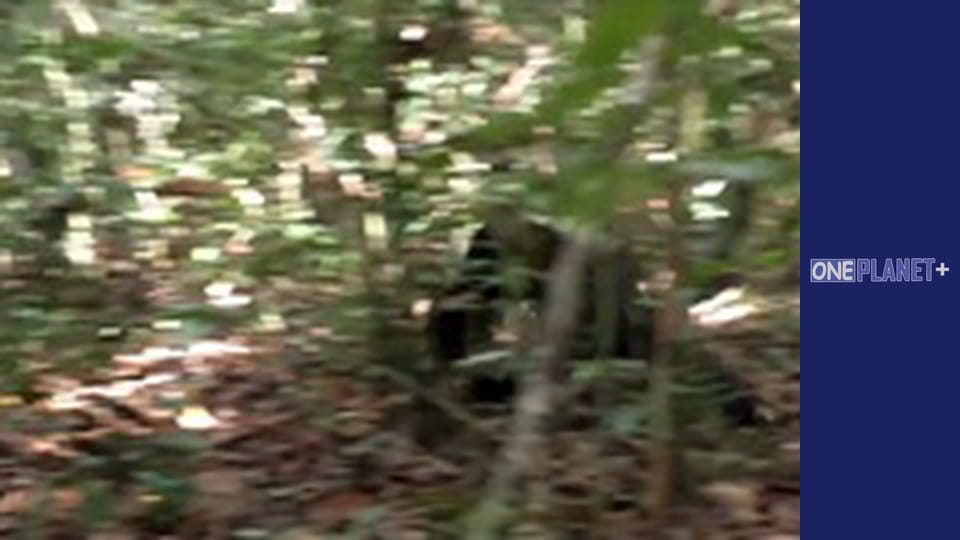 In search of knowledge. - episode 22