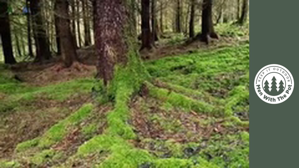 Sladké ananásové bravčové mäso