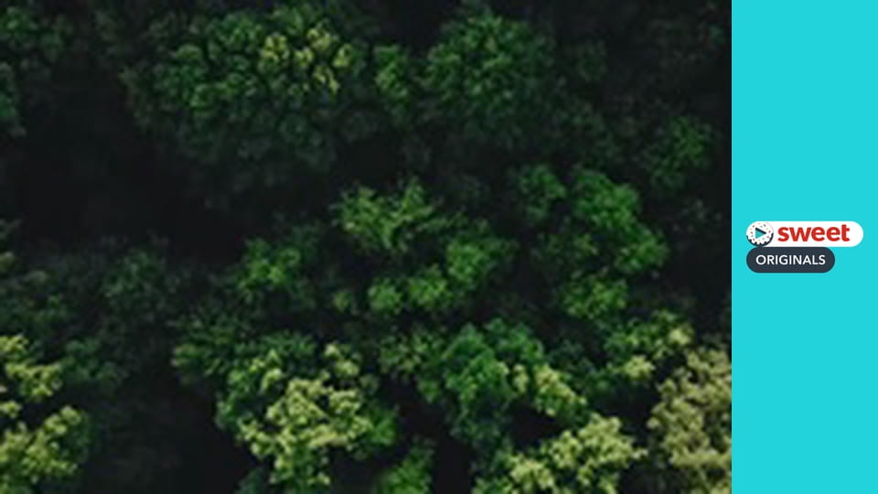 Зрадники Серія 3