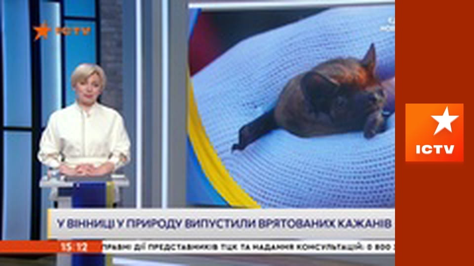 Інформаційний марафон