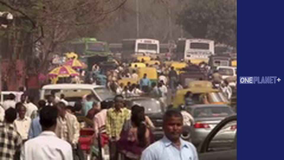 Islamic Garden Design - series 2