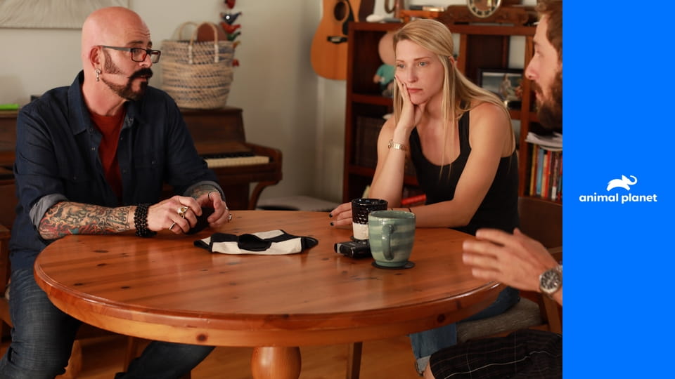 Адская кошка S9E12 - Кошачья реабилитация