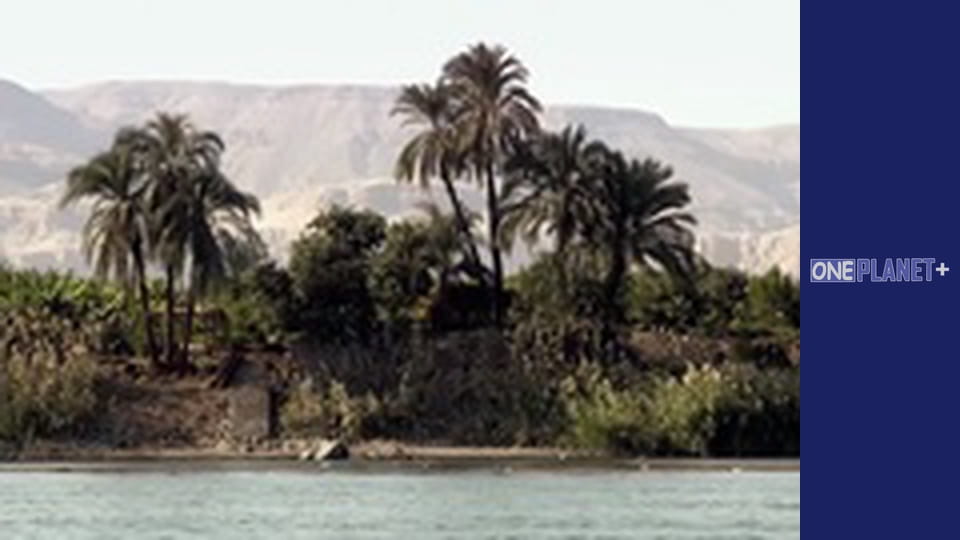 Unlocking the Past, Episode 5