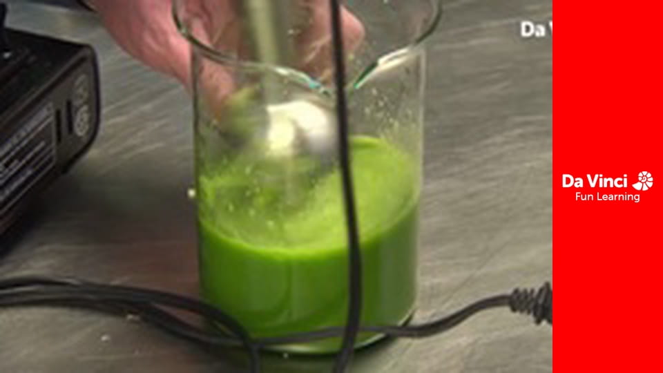 DIY SCI - Food Science