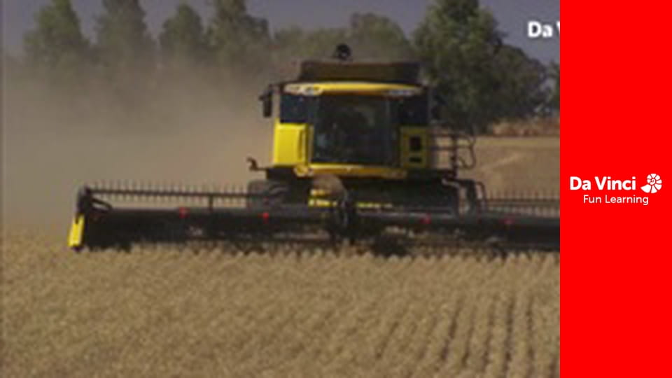 Know it All - What Makes Bread Rise?