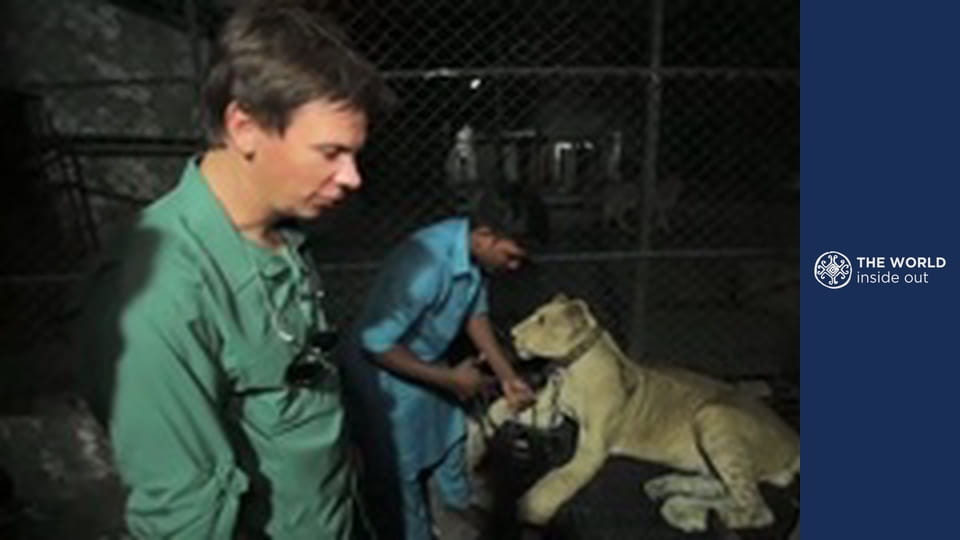 How Pakistan’s celebrities live. Pakistan.