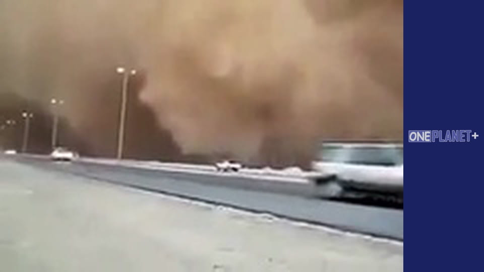 In search of knowledge. - episode 4