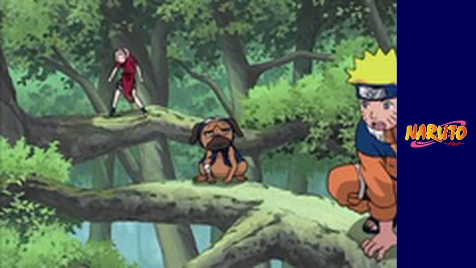 Naruto Season 1 Episode 131