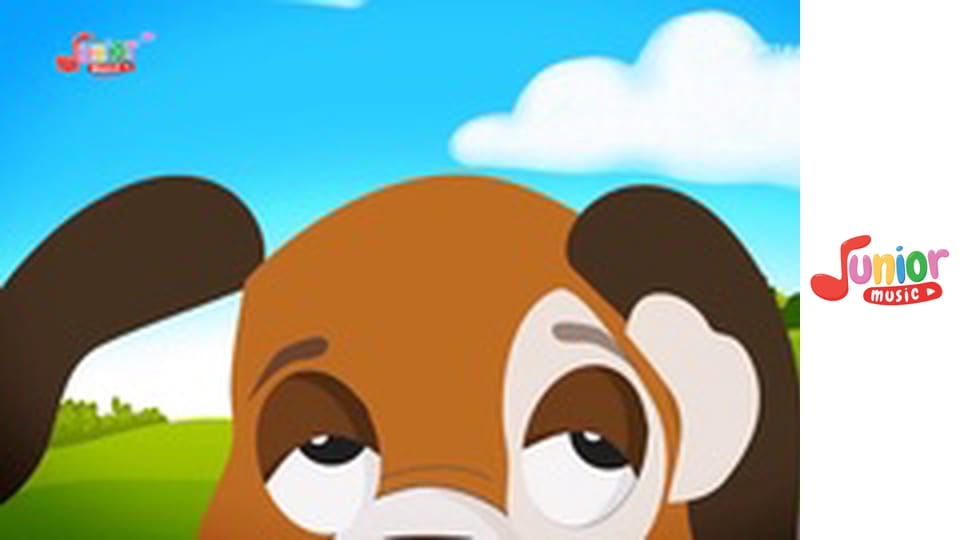 Dziecięce hity z Junior Music!