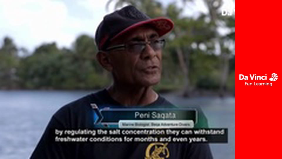 Projekt eksploracja: bajeczna planeta - Pomocne dłonie