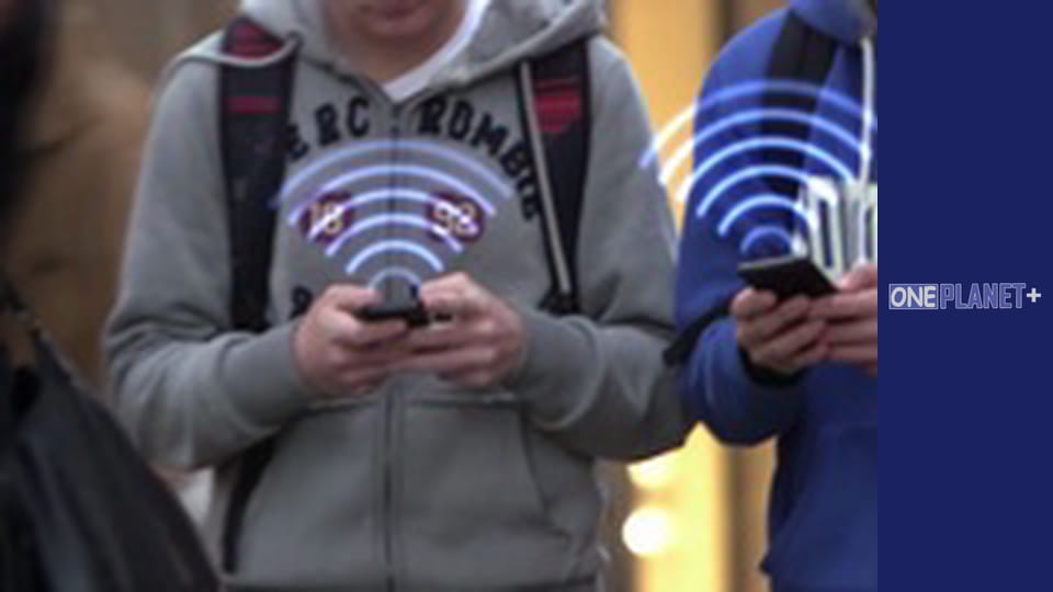 Secrets of the Brain - series 2