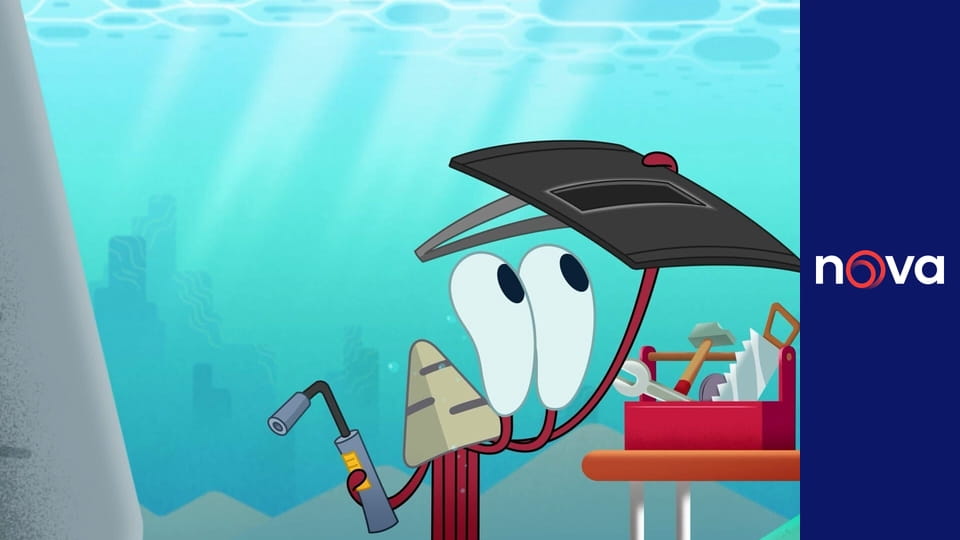 Bernieho dobrodružství