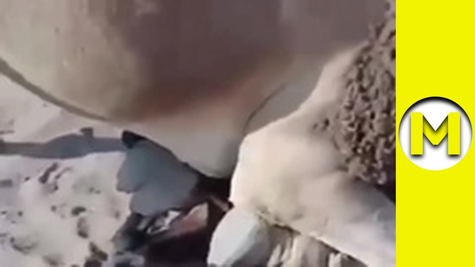 Max TV - season 1 - episode 129