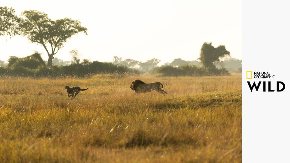 Nelítostné království S1E5 - Armáda rebelů