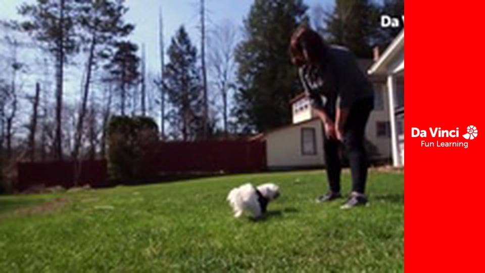 Co powiecie na wynalazek? - Skarbiec z nasionami na czarną godzinę